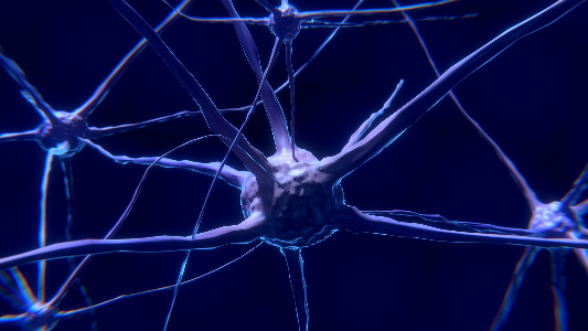 Computer-generated image of neurons