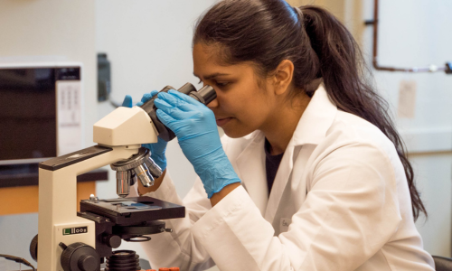 A scientist looking through a microscope.