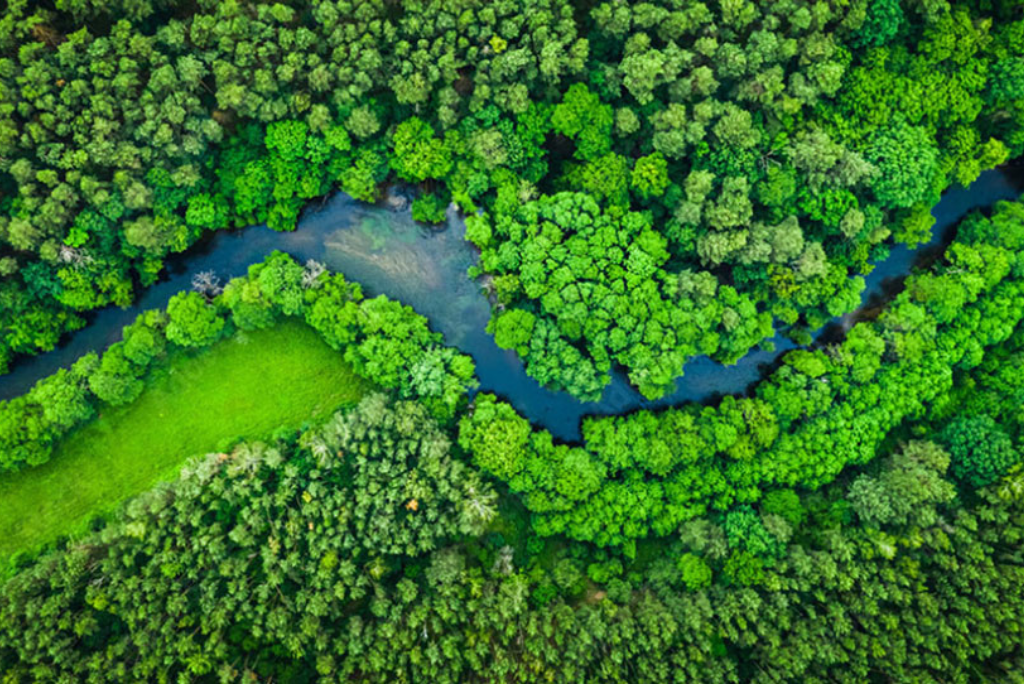 River winding through forest.