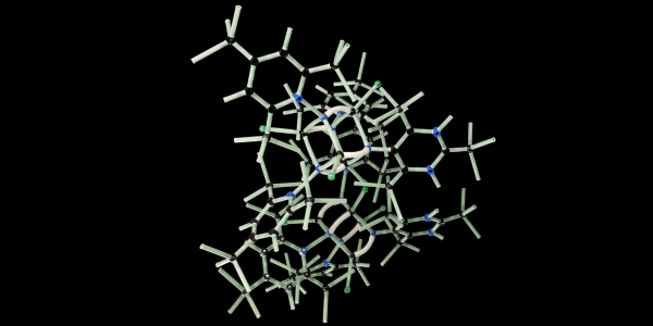 Molecular biology structure